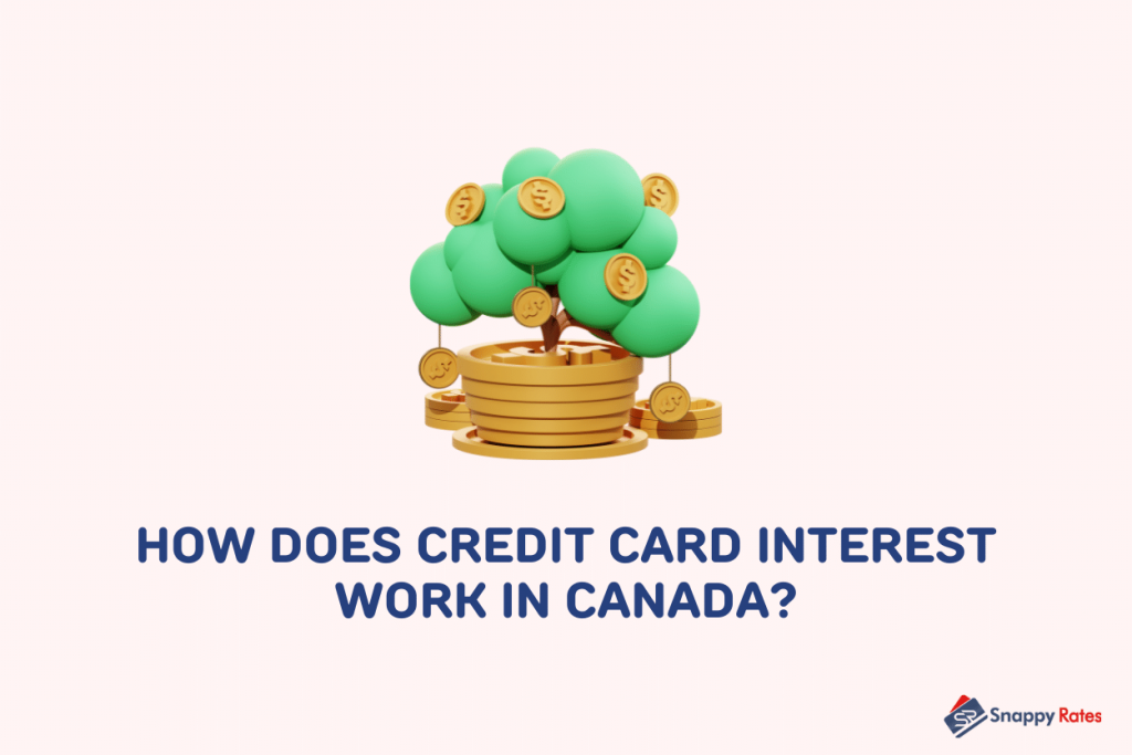 image showing tree bearing coins as a demo on how credit card interest works
