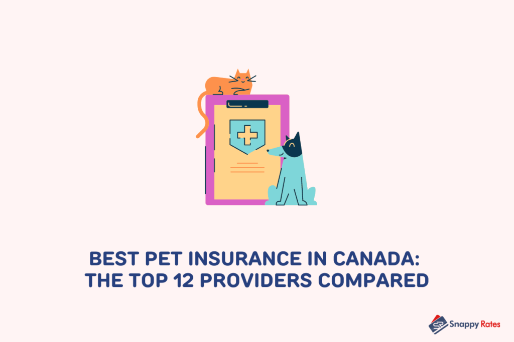 image showing an icon for best pet insurance in canada