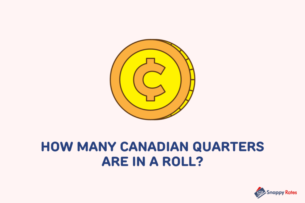 image showing a canadian quarter icon